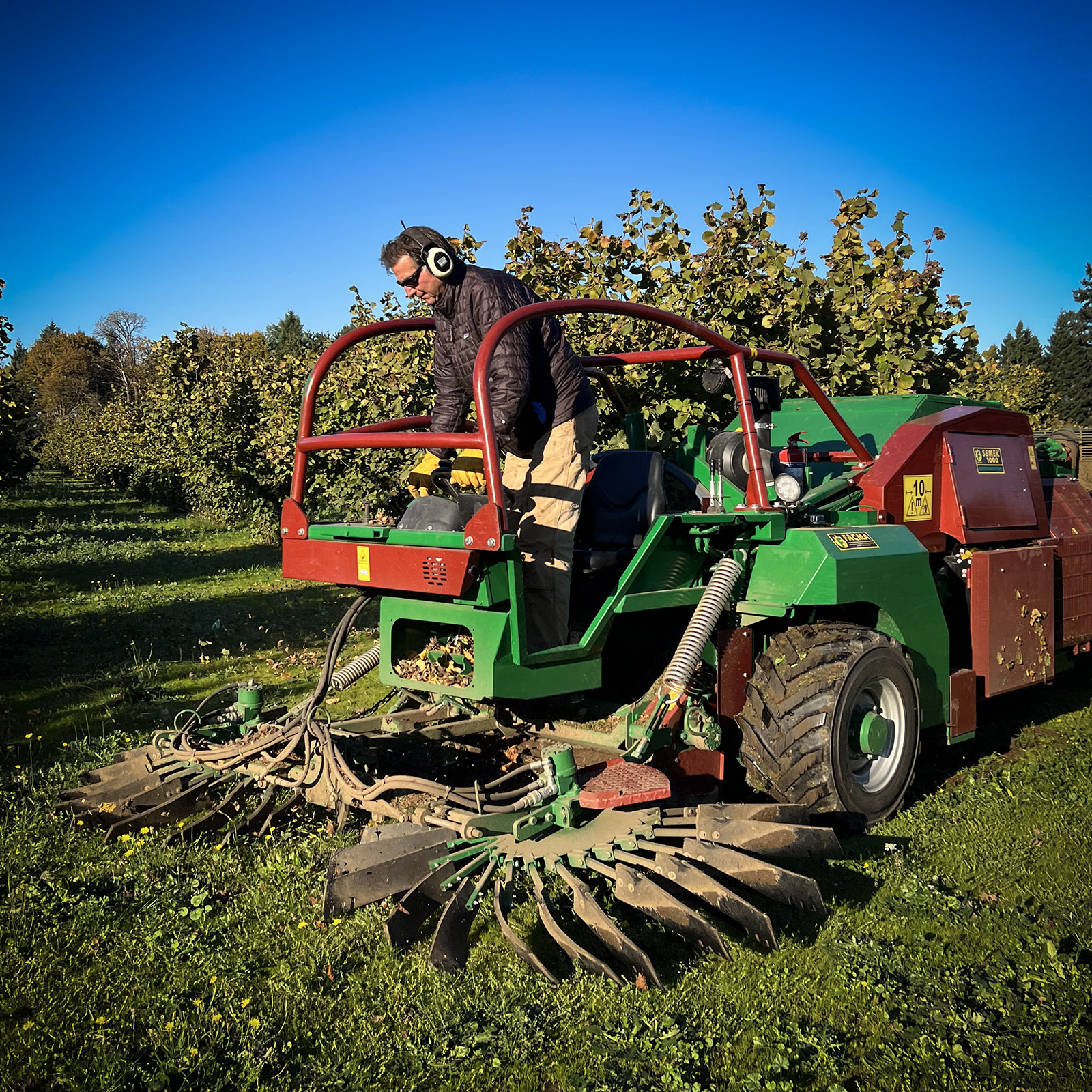 BAK-running-harvester-square An image of a hazelnut grower operating his tractor.