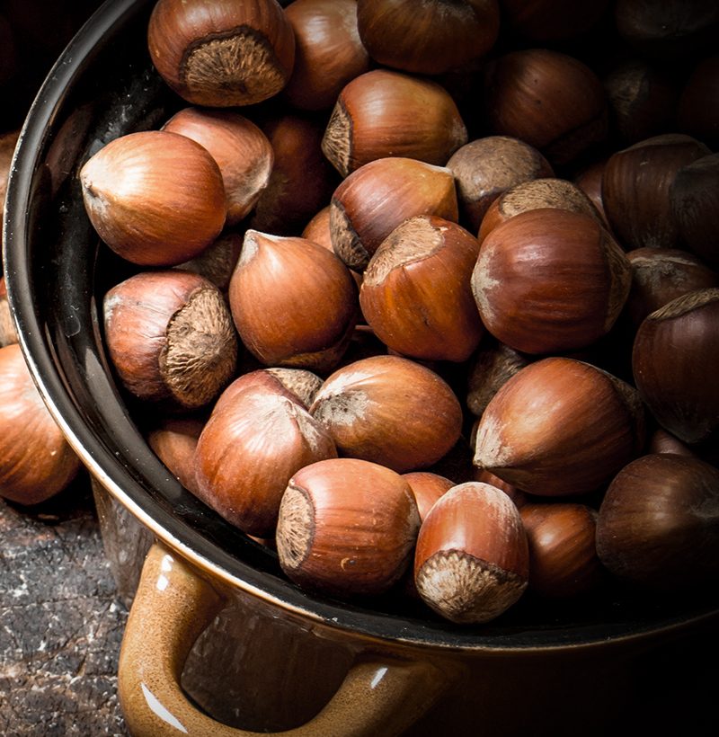 Growing-with-Vignette_1600px A close-up view of Oregon Organic Hazelnuts in a bowl.