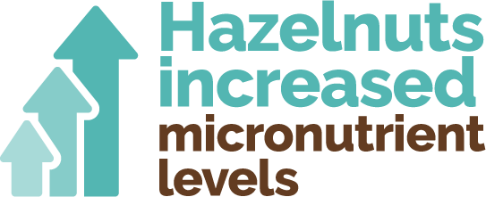 Hazelnuts Increased Micronutrient Levels V1 Sub headline: Hazelnuts Increased Micronutrient Levels.