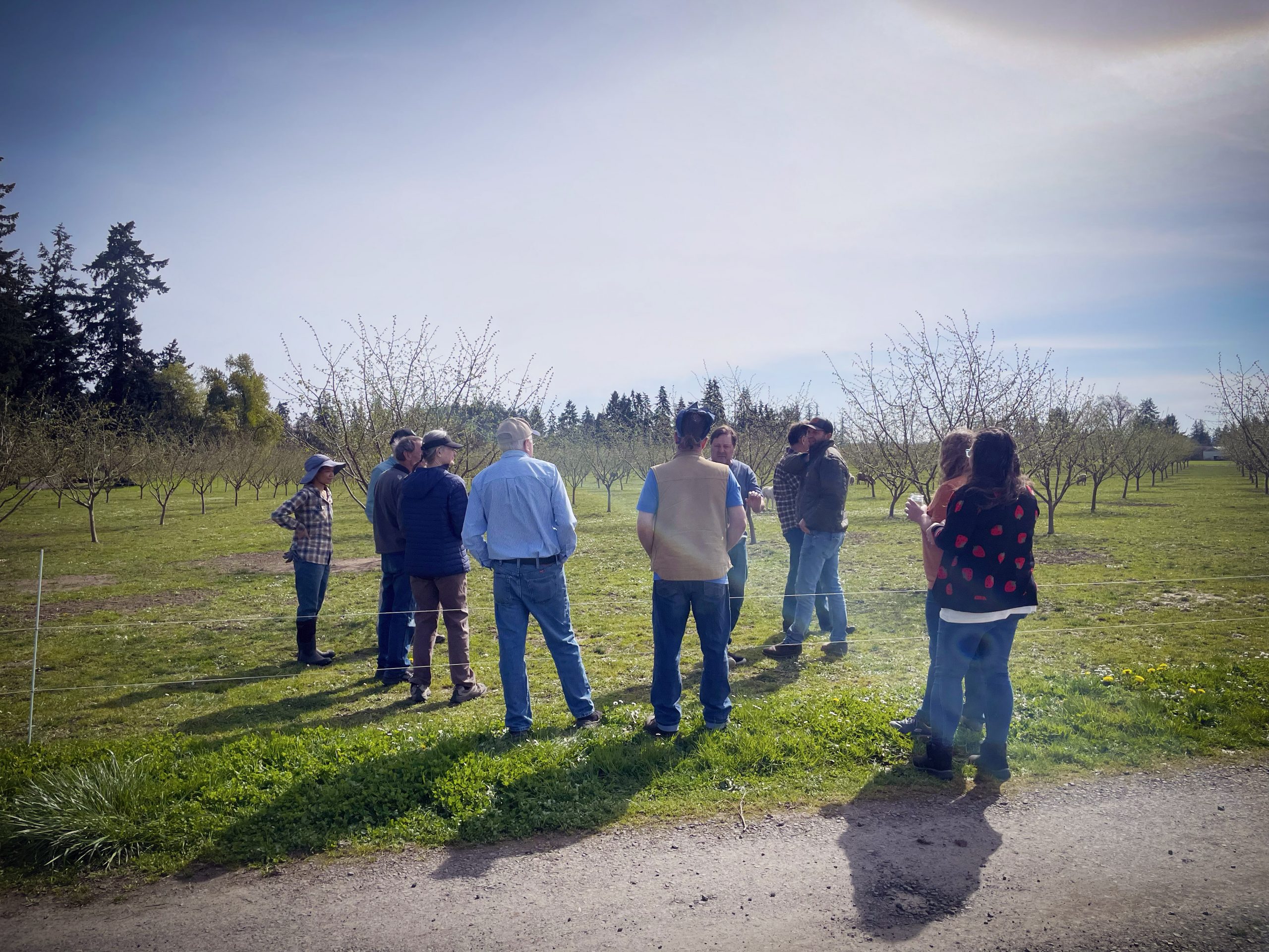 Mission Photo Oregon Organic Hazelnut growers visiting the orchard during springtime.