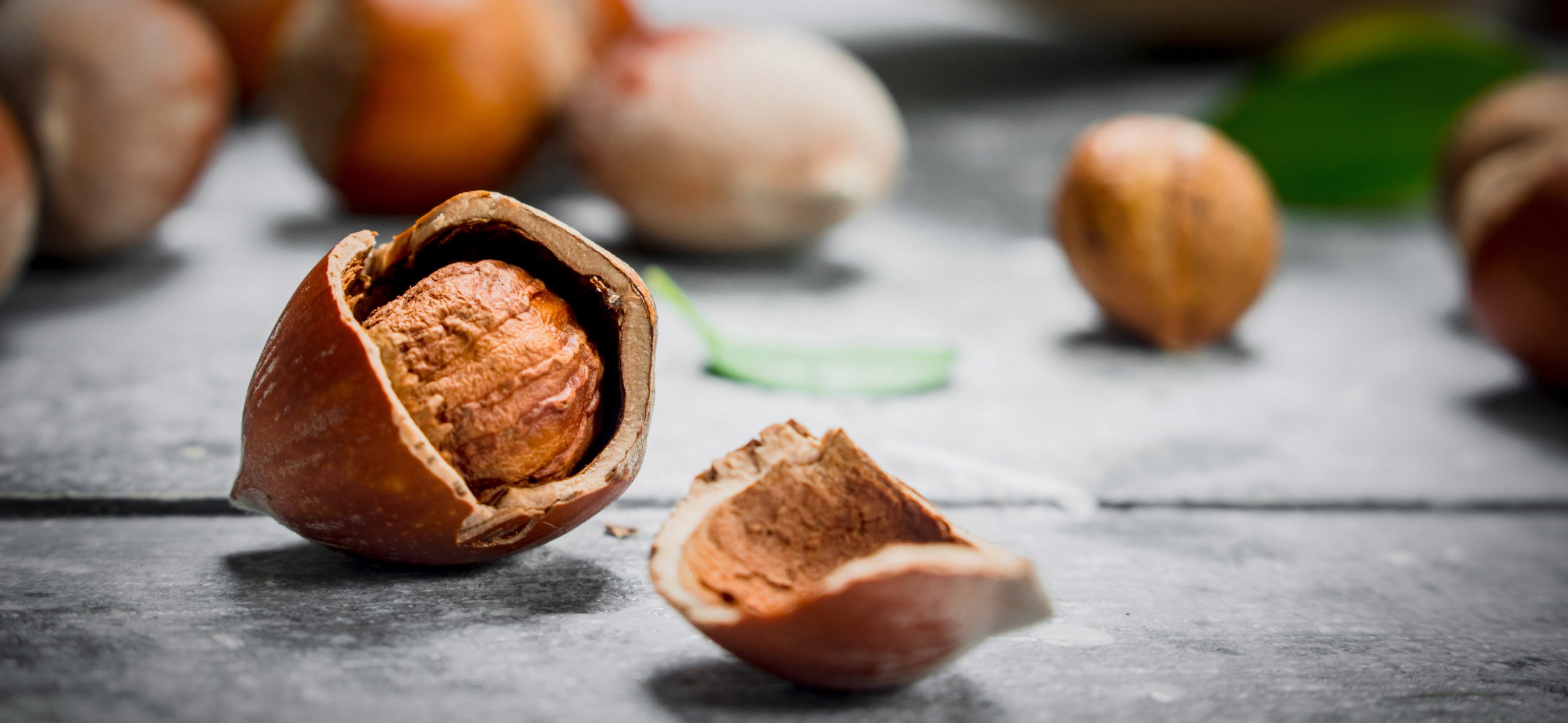 A close-up view of Oregon Organic Hazelnut with open and cracked shell.