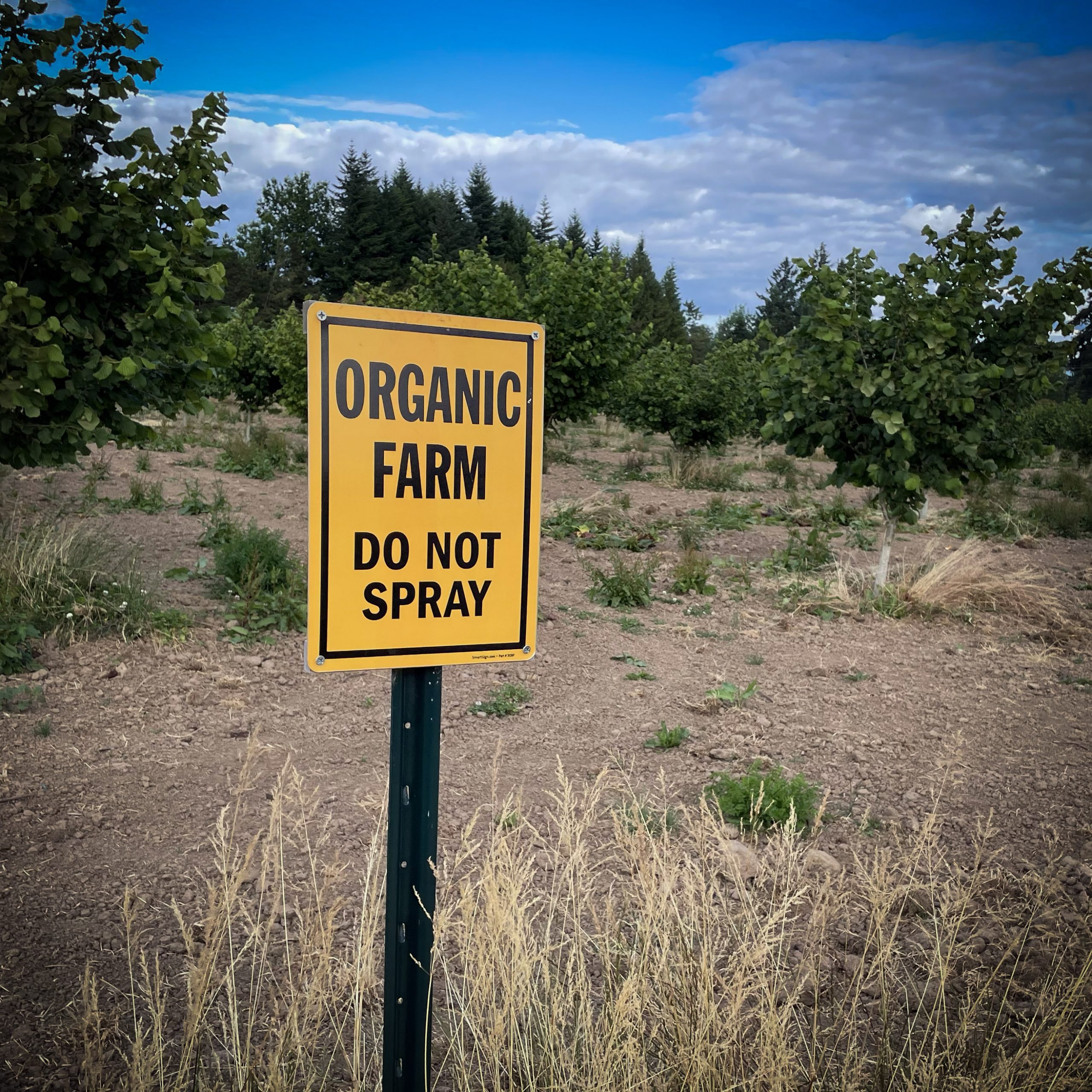Organic-Farm-Sign_square An image of an organic farm signage.