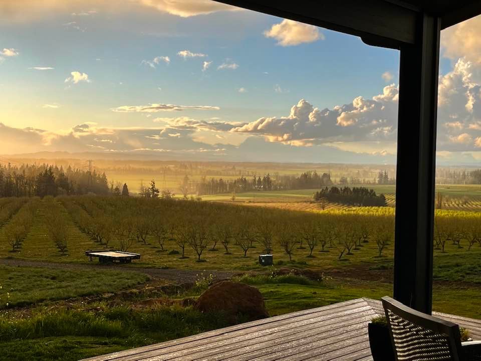 Pratum Farm in Spring A view of an orchard in Oregon during sunset.