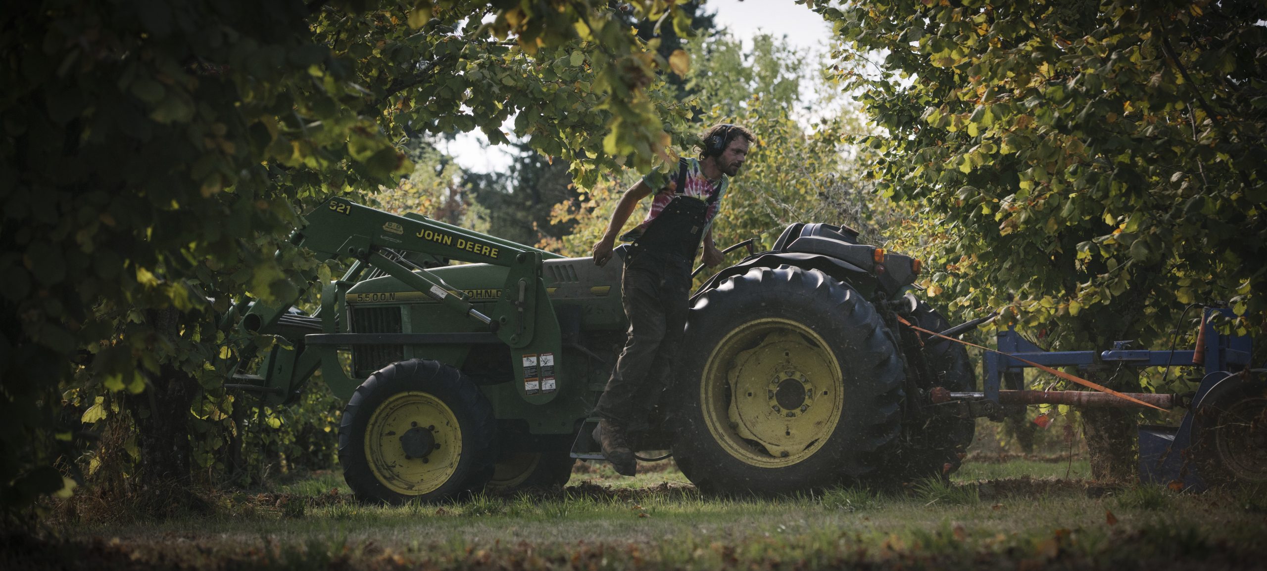 Tractor-Hero An image of a hazelnut grower operating his tractor.