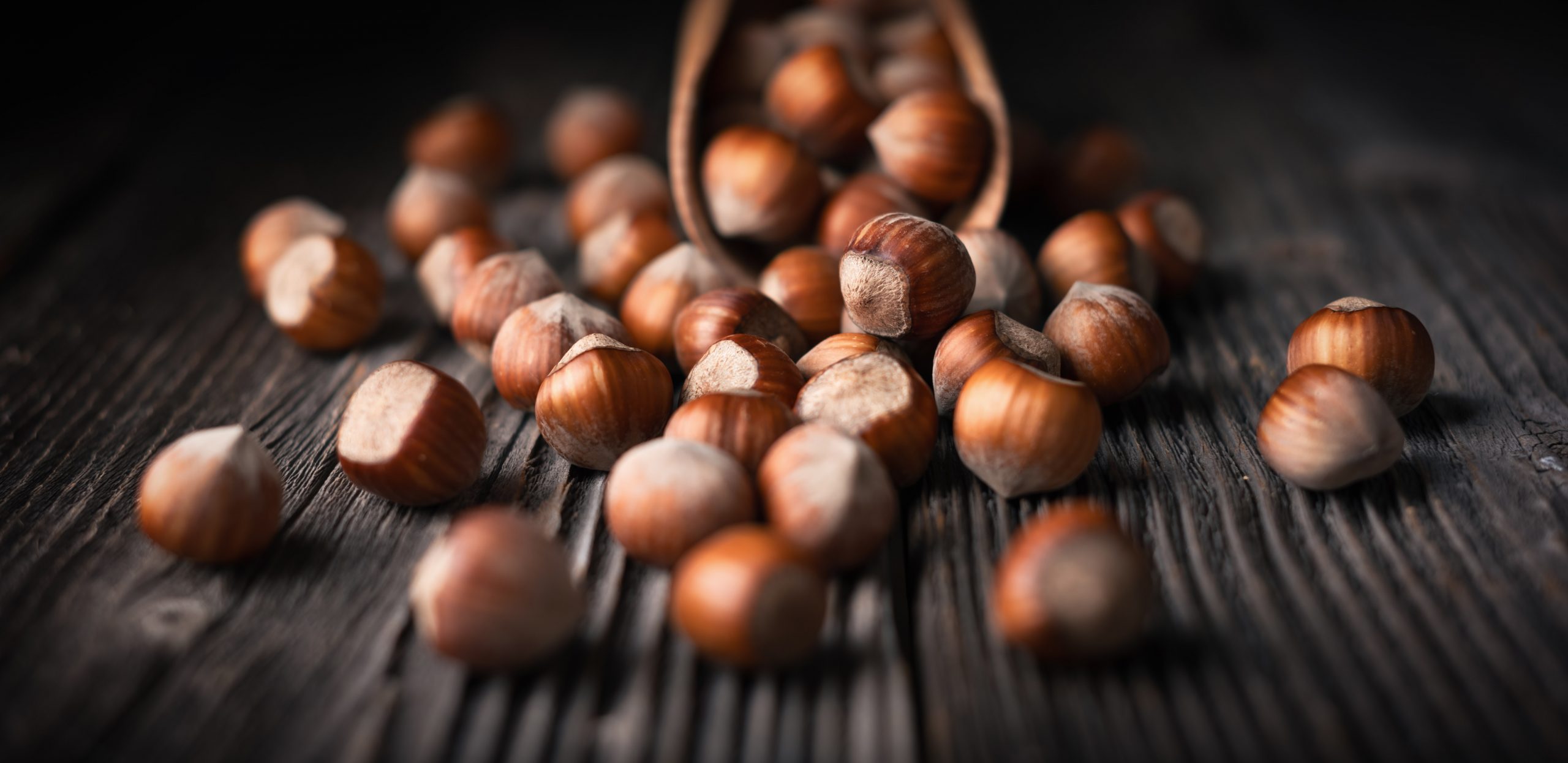 A close-up view of Oregon Organic Hazelnuts presented in a table.